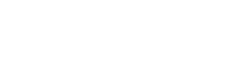 Gaoneng logo white